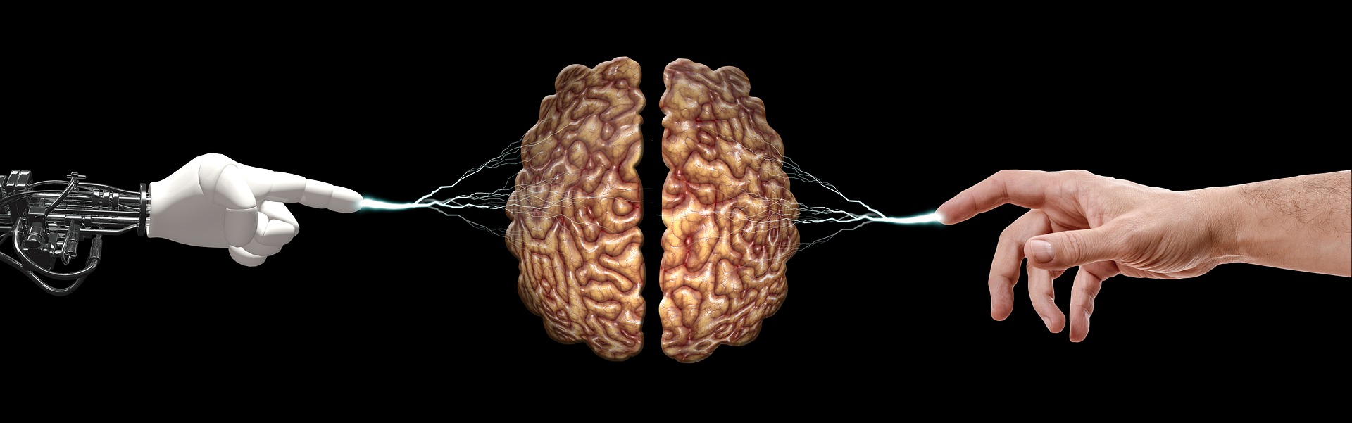Brain Implant 뉴스 기사 흐름 분석
